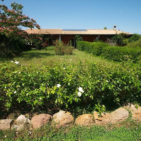 Gasthaus Fattoria Corte Noa Masainas Exterior foto